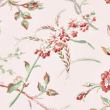 Schumacher Beluze Blush Fabric