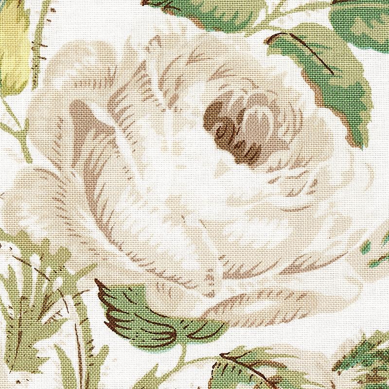 Schumacher Loudon Rose Ivory Fabric
