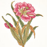 Schumacher Servilia Stripe Aqua Fabric