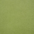 Schumacher Rocky Performance Velvet Aloe Fabric