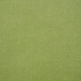 Schumacher Rocky Performance Velvet Aloe Fabric