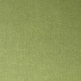 Schumacher Rocky Performance Velvet Aloe Fabric