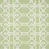 Schumacher Ziz Embroidery Green Fabric