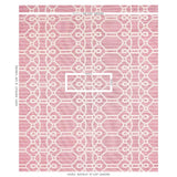 Schumacher Ziz Embroidery Pink Fabric