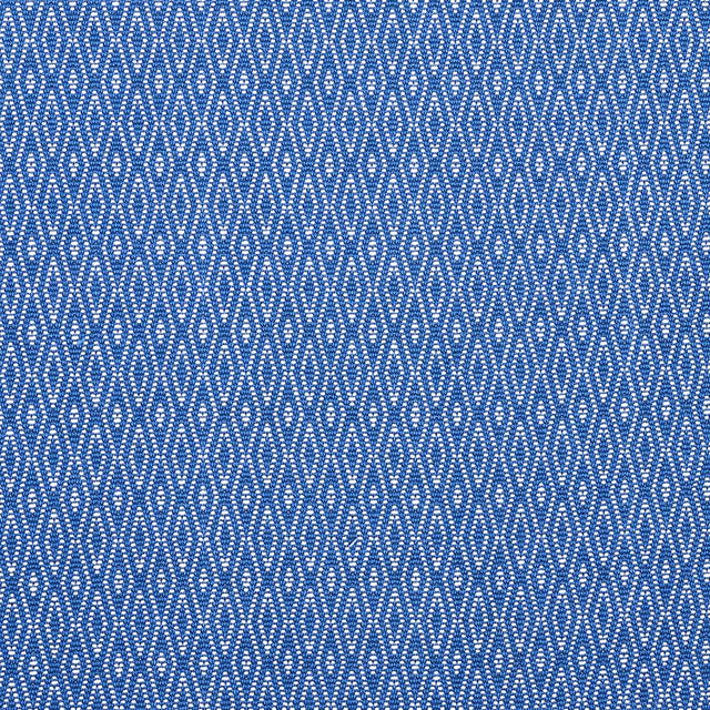 Schumacher Derby Diamond Performance Indigo Fabric