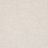Schumacher Albert Performance Cotton Stone Fabric