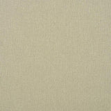 Schumacher Albert Performance Cotton Flax Fabric