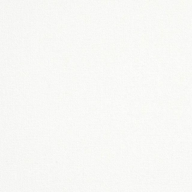 Schumacher Albert Performance Cotton White Fabric