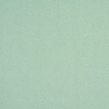 Schumacher Albert Performance Cotton Mineral Fabric