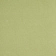 Schumacher Albert Performance Cotton Green Fabric