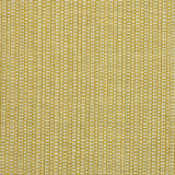 Schumacher Ispa Hand Woven Plain Verde Fabric