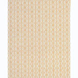 Schumacher Poxte Hand Woven Mostaza Fabric