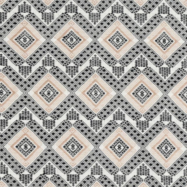 Schumacher Ocosito Hand Woven Black Fabric