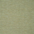 Schumacher Momo Hand Woven Texture Fern Fabric