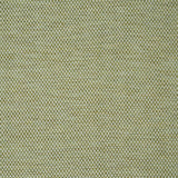 Schumacher Momo Hand Woven Texture Fern Fabric