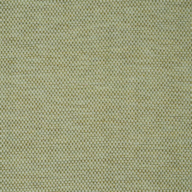 Schumacher Momo Hand Woven Texture Fern Fabric