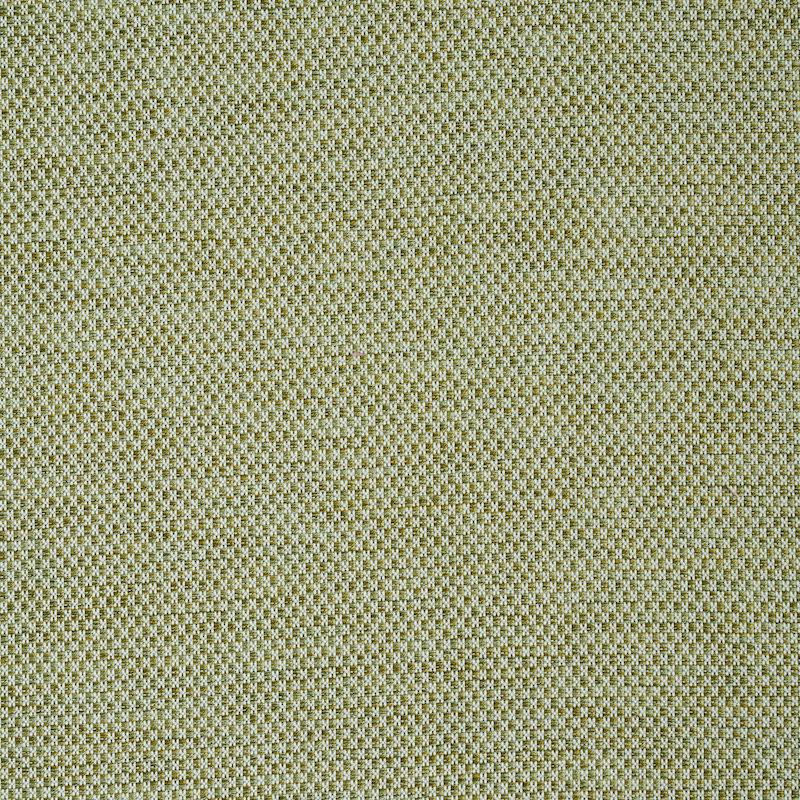 Schumacher Momo Hand Woven Texture Fern Fabric