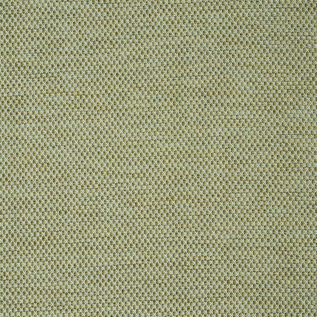 Schumacher Momo Hand Woven Texture Fern Fabric
