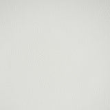 Schumacher Vegan Leather Indoor/Outdoor Ivory Fabric