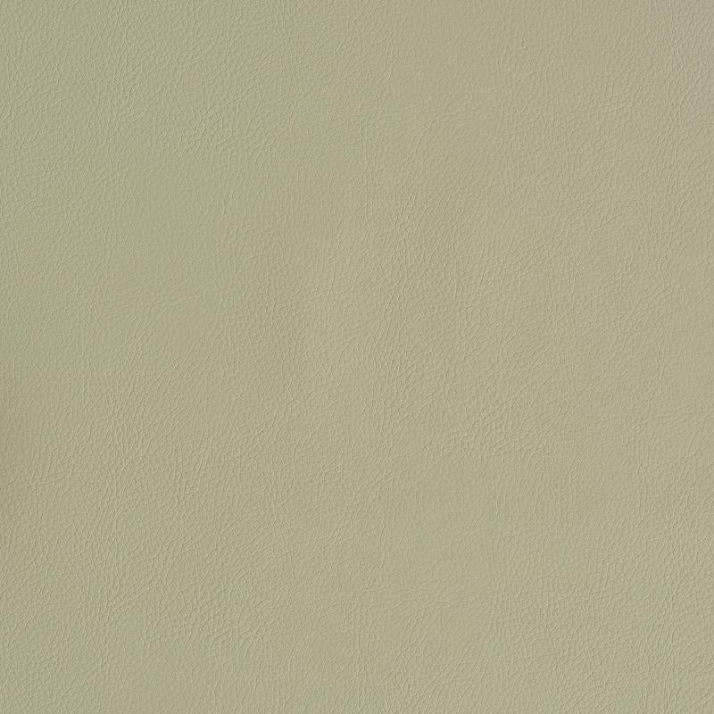 Schumacher Vegan Leather Indoor/Outdoor Dune Fabric