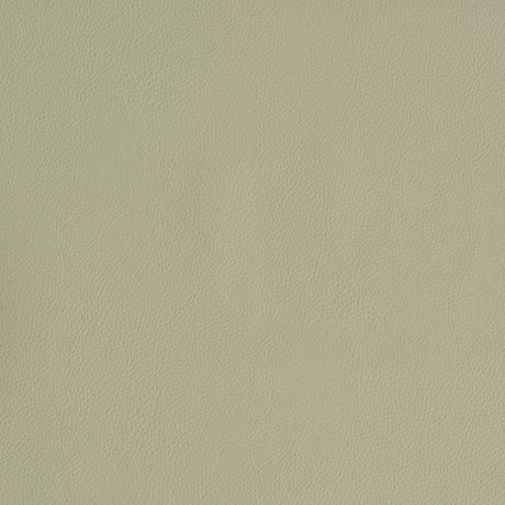 Schumacher Vegan Leather Indoor/Outdoor Dune Fabric