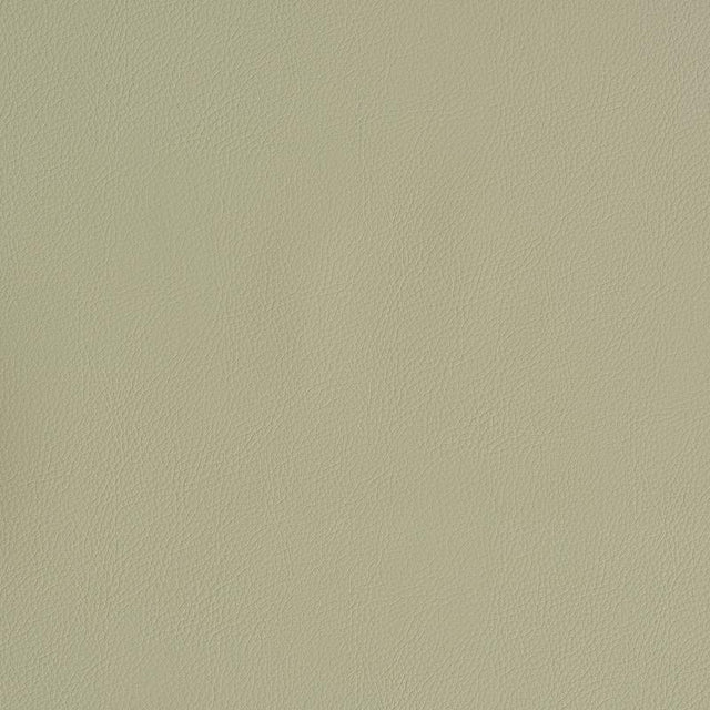 Schumacher Vegan Leather Indoor/Outdoor Dune Fabric