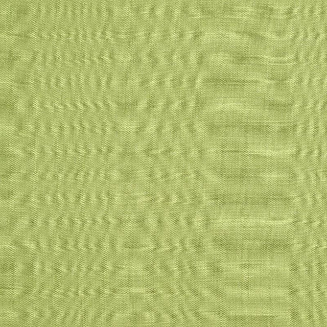 Schumacher Piet Performance Linen Leaf Fabric