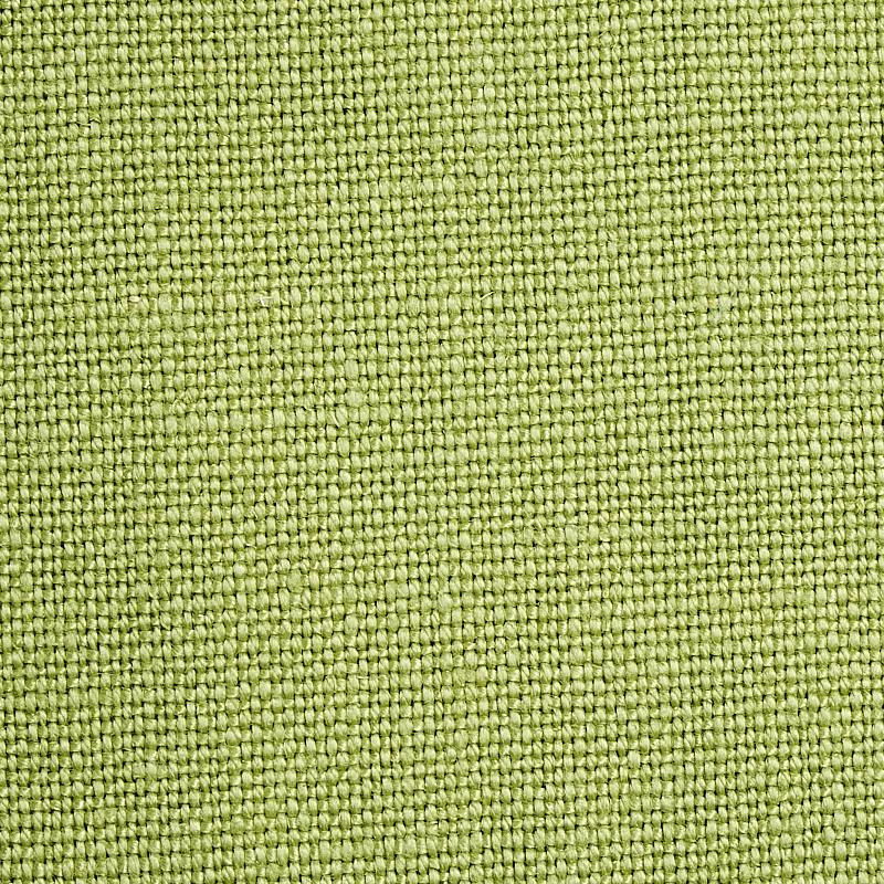 Schumacher Piet Performance Linen Leaf Fabric