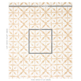 Schumacher Andromeda Linen Sand Fabric