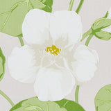 Schumacher Nasturtium Stone Fabric