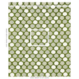 Schumacher Cirque Velvet Green Fabric