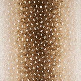 Schumacher Axis Velvet Fawn Fabric