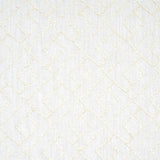 Schumacher Durant Embroidery Ivory Fabric