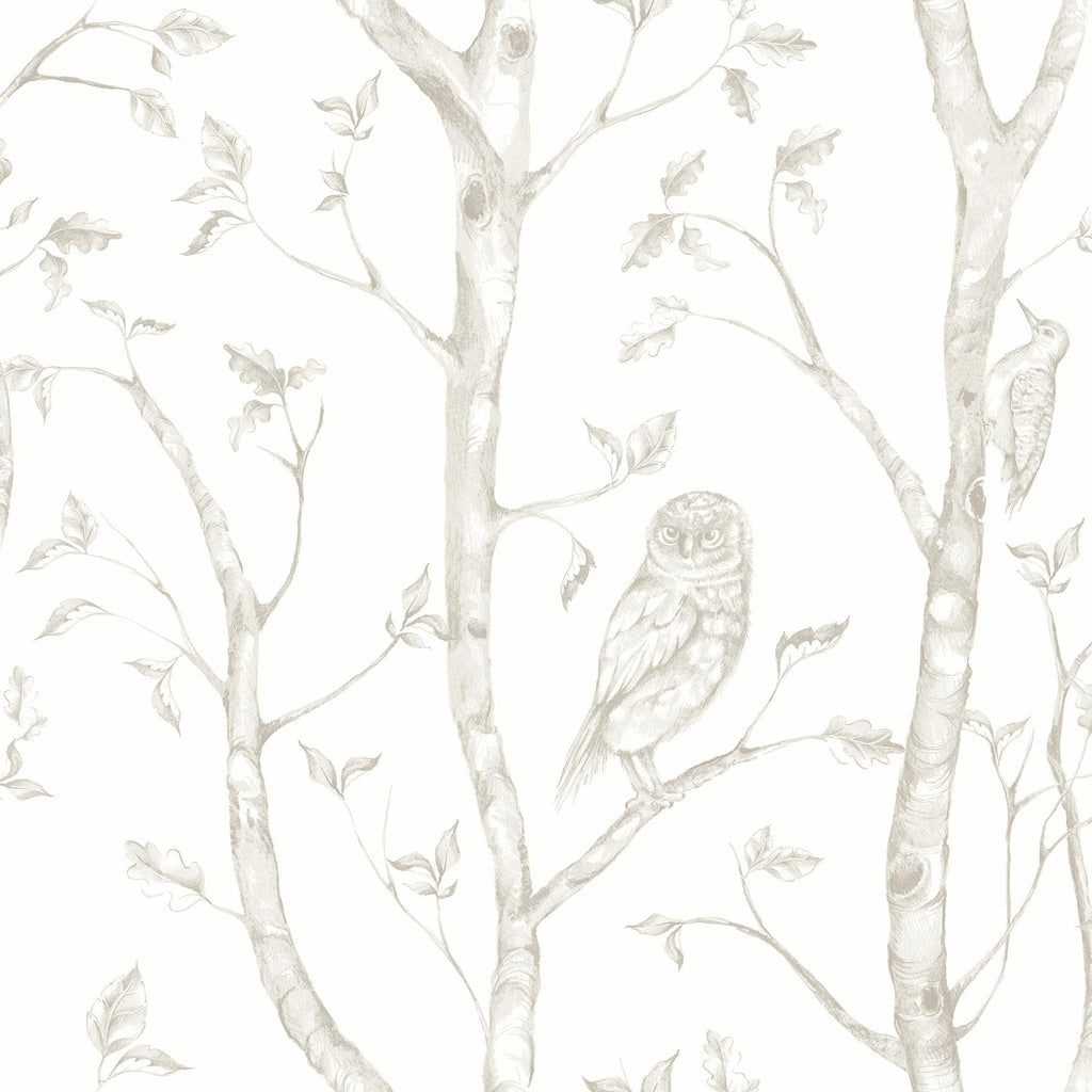A-Street Prints Neptune Forest Taupe Wallpaper