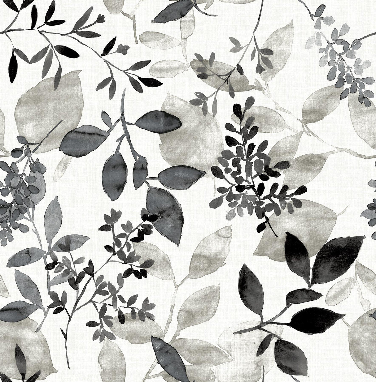 A-Street Prints Gossamer Black Botanical Wallpaper