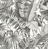 A-Street Prints Solstice 2744-24134 Black Wallpaper
