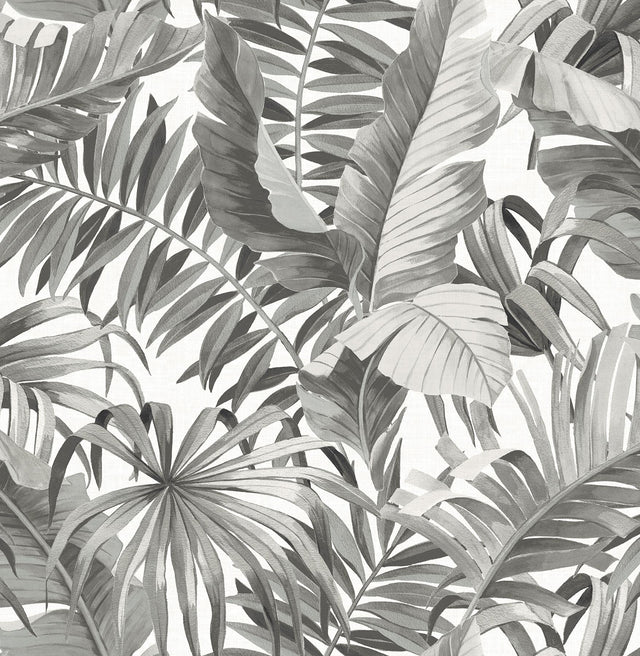 A-Street Prints Solstice 2744-24134 Black Wallpaper