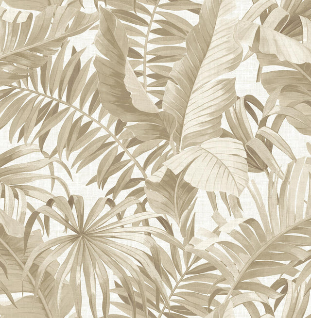 A-Street Prints Solstice 2744-24135 Taupe Wallpaper