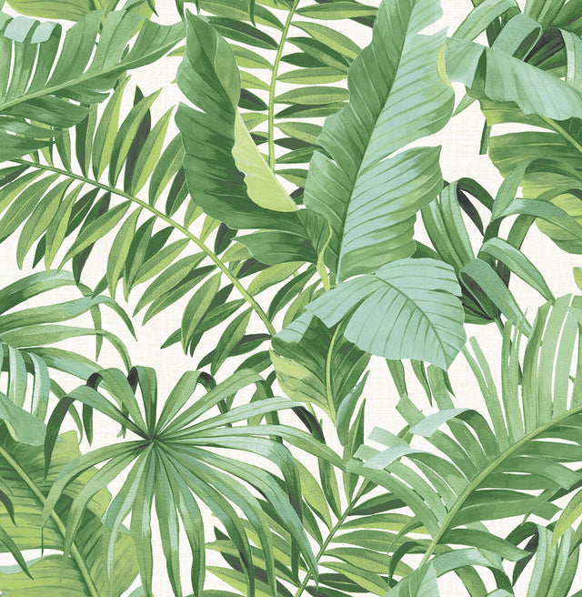 A-Street Prints Solstice 2744-24136 Green Wallpaper