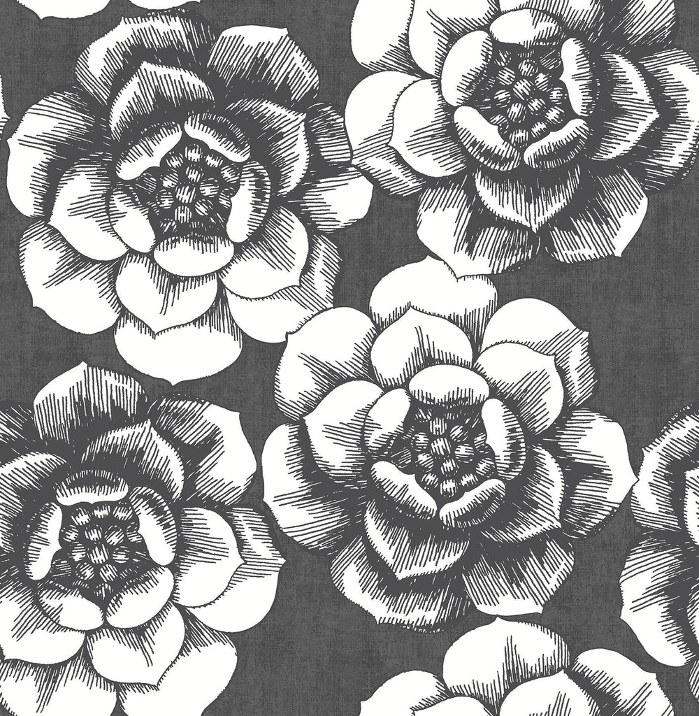 A-Street Prints Fanciful Black Floral Wallpaper