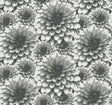A-Street Prints Umbra Charcoal Floral Wallpaper