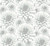 A-Street Prints Umbra Light Grey Floral Wallpaper