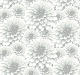 A-Street Prints Umbra Floral Light Grey Wallpaper