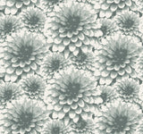 A-Street Prints Umbra Teal Floral Wallpaper