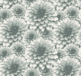 A-Street Prints Umbra Floral Teal Wallpaper