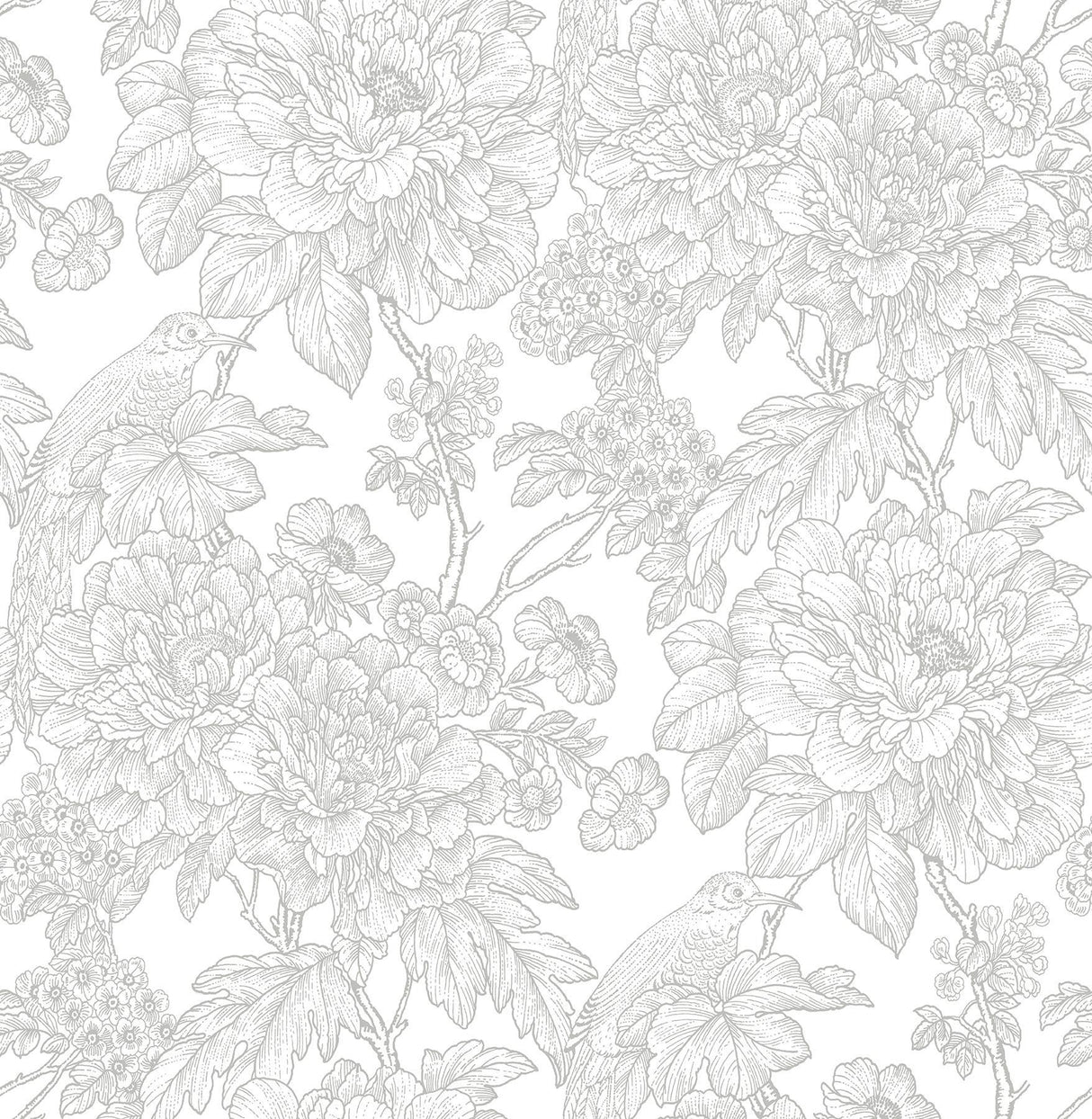 A-Street Prints Birds of Paraside Breeze Grey Floral Wallpaper