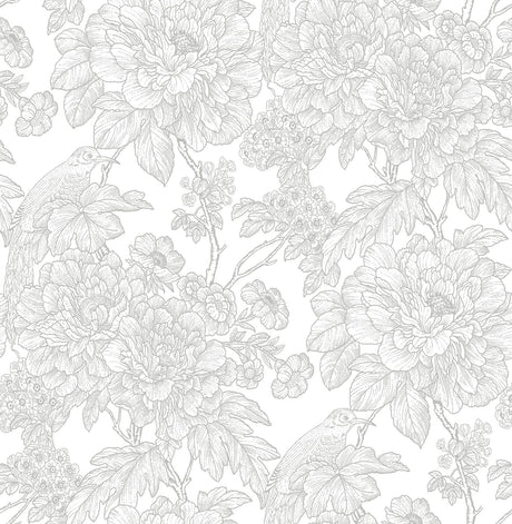 A-Street Prints Birds of Paraside Breeze Grey Floral Wallpaper