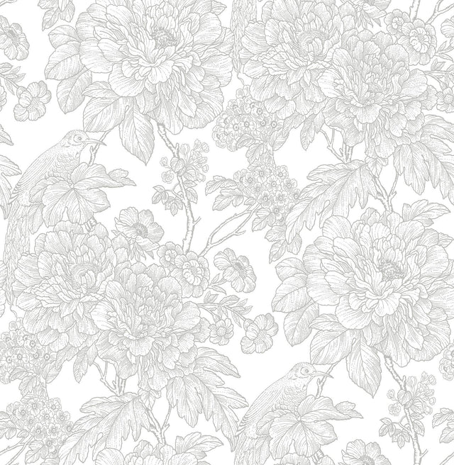 A-Street Prints Birds of Paraside Breeze Grey Floral Wallpaper