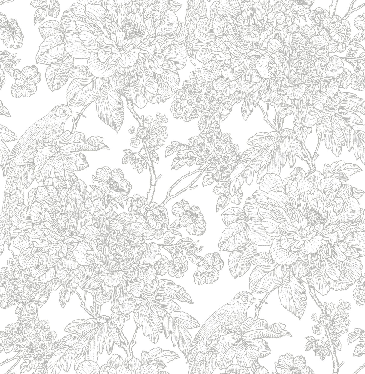 A-Street Prints Birds of Paraside Breeze Floral Grey Wallpaper