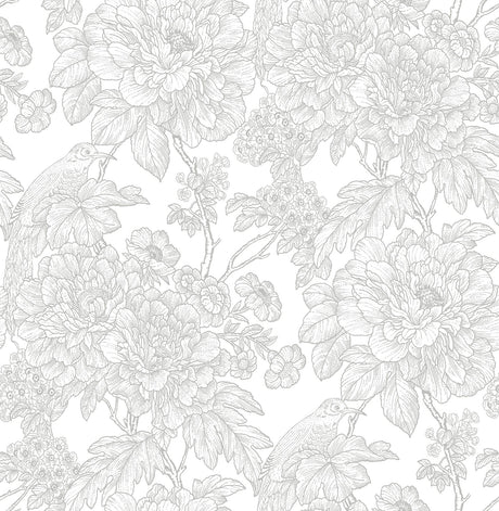 A-Street Prints Birds of Paraside Breeze Floral Grey Wallpaper